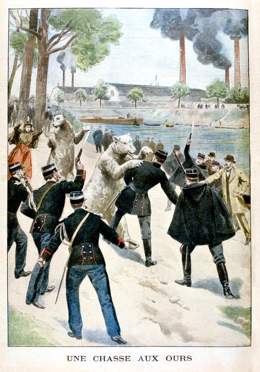 狩猎熊，1901年 作者 不明