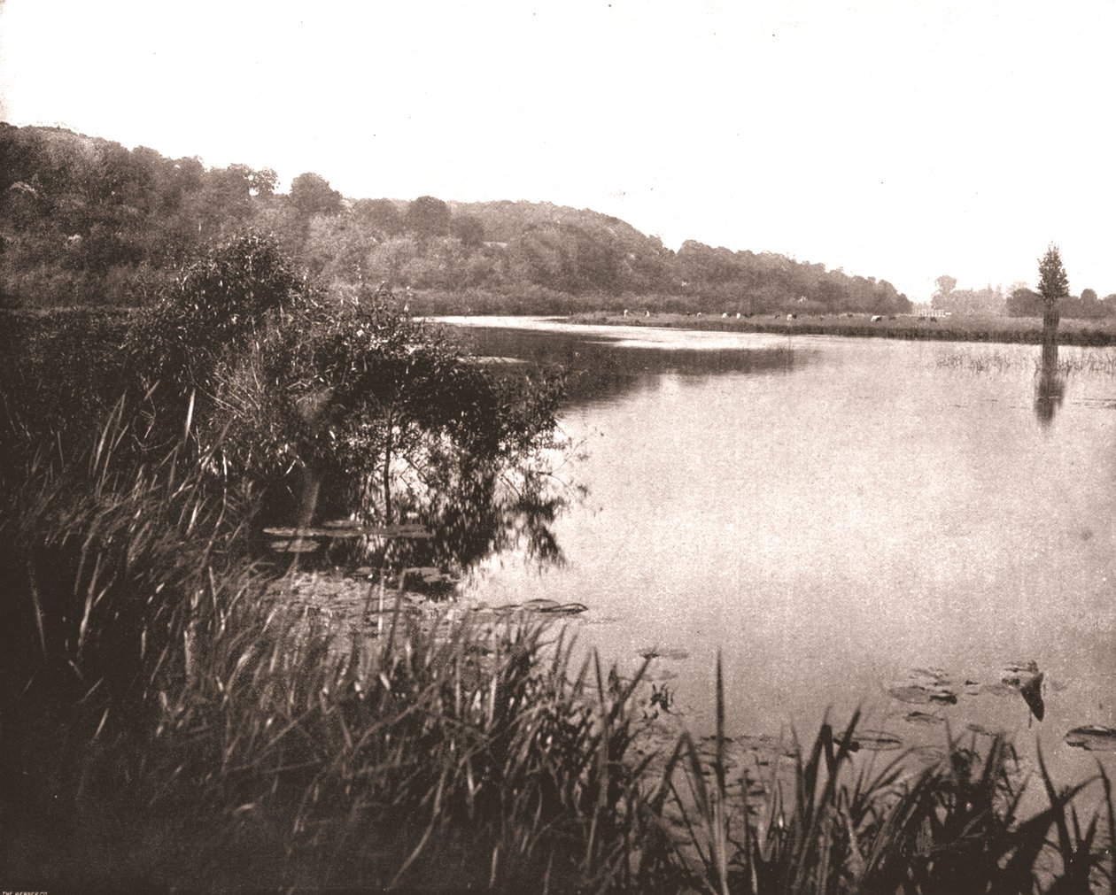Hurley Reach，位于白沙姆和梅德纳姆之间的泰晤士河，白金汉郡，1894年。 作者 不明