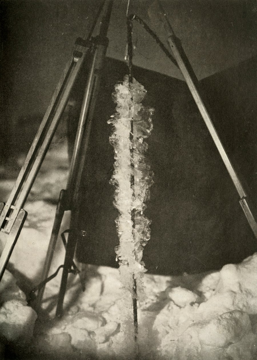 鱼圈上形成的冰晶，c1908，1909年 作者 不明