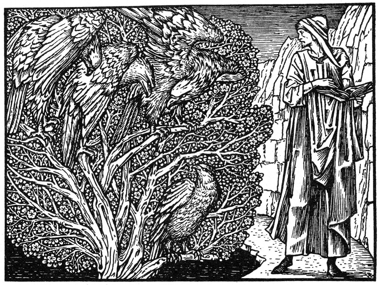 插图摘自Kelmscott出版社出版的Geoffrey Chaucer作品，1964年，1896年 作者 不明
