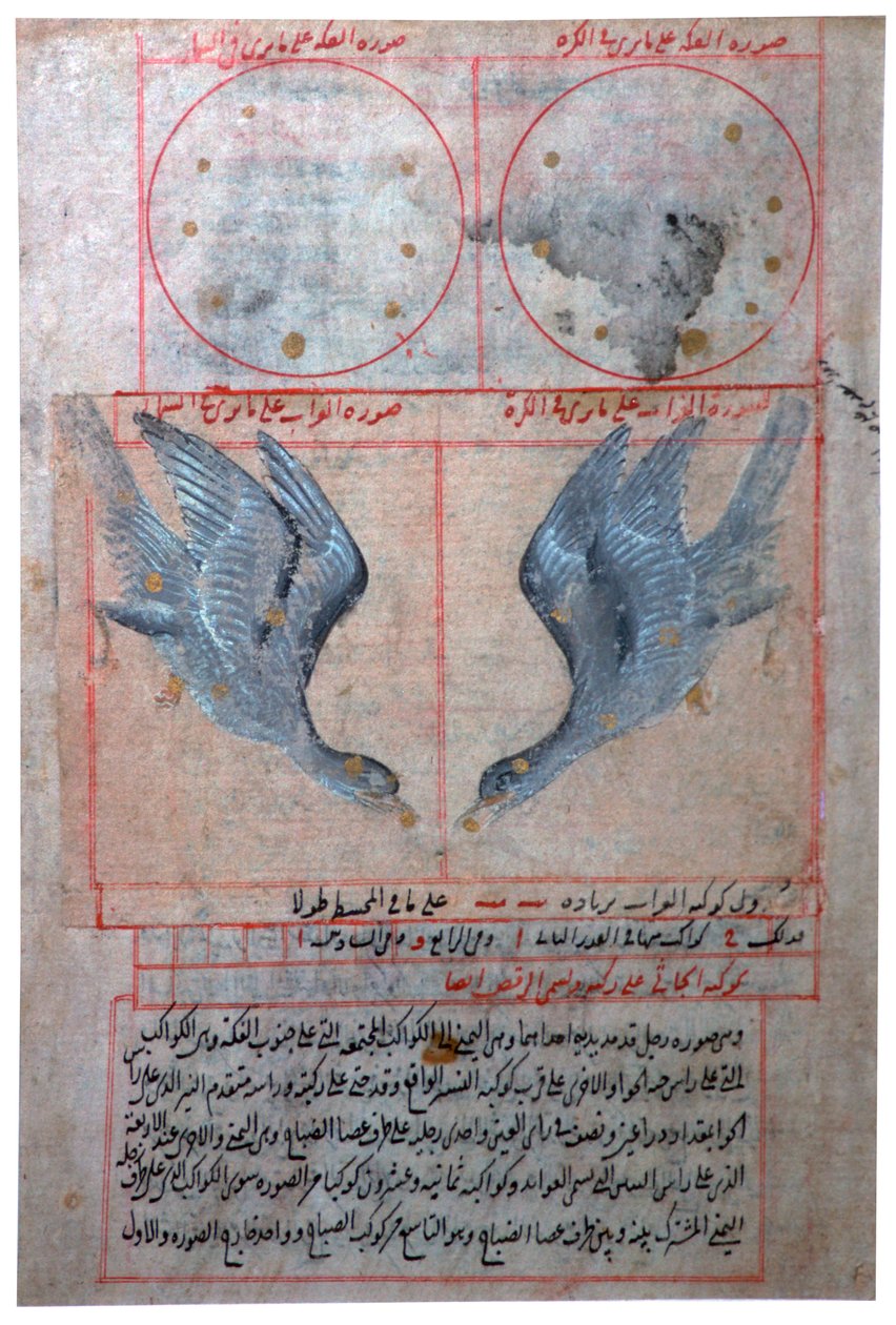 南半球的星座插图，16世纪 作者 不明