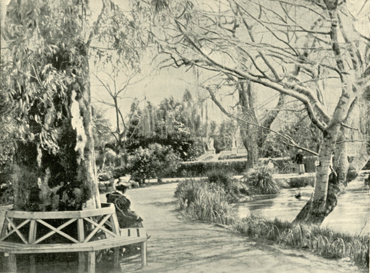 1901年在阿德莱德植物园中。 作者 不明