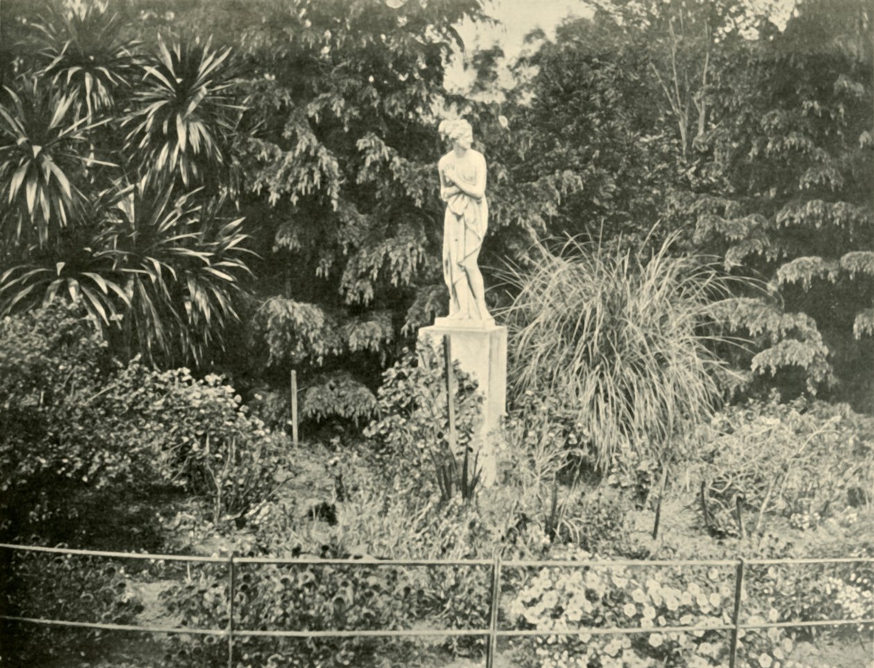 1901年，在墨尔本菲茨罗伊花园（Fitzroy Gardens）中。 作者 不明