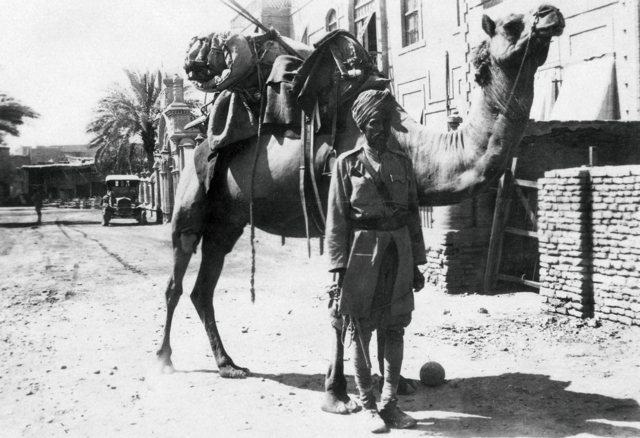印度骆驼士兵，1918年在巴格达 作者 不明