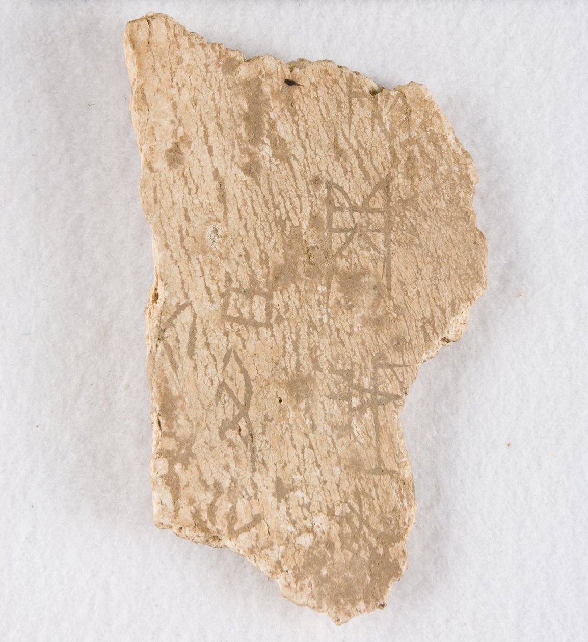 甲骨文碎片，商代晚期，约公元前1300-1050年。 作者 不明