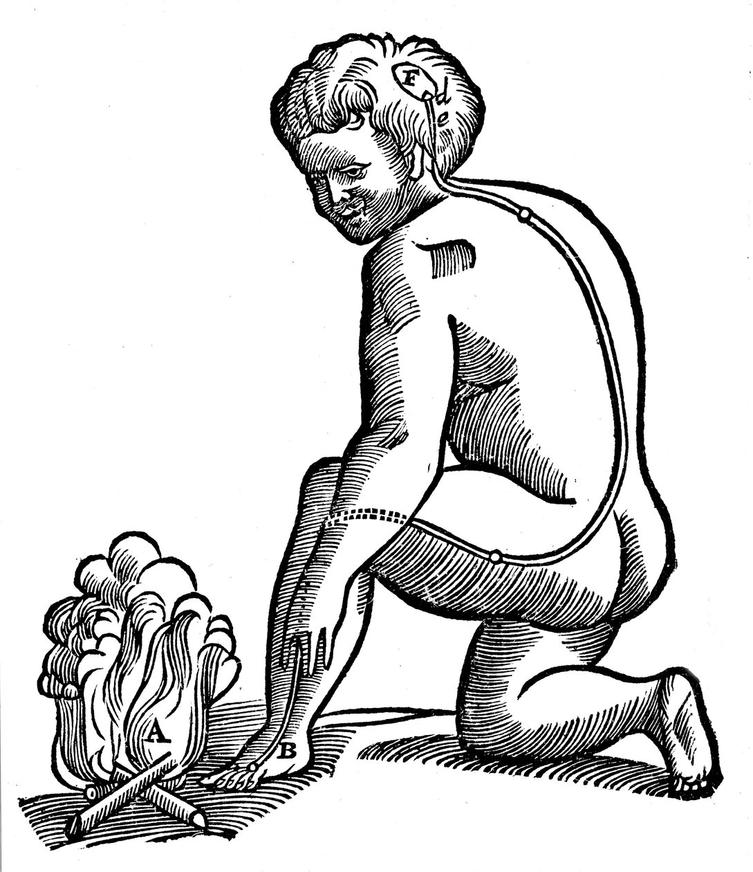 非自愿运动，笛卡尔提出了四肢冲动如何到达大脑的想法，1692年 作者 不明