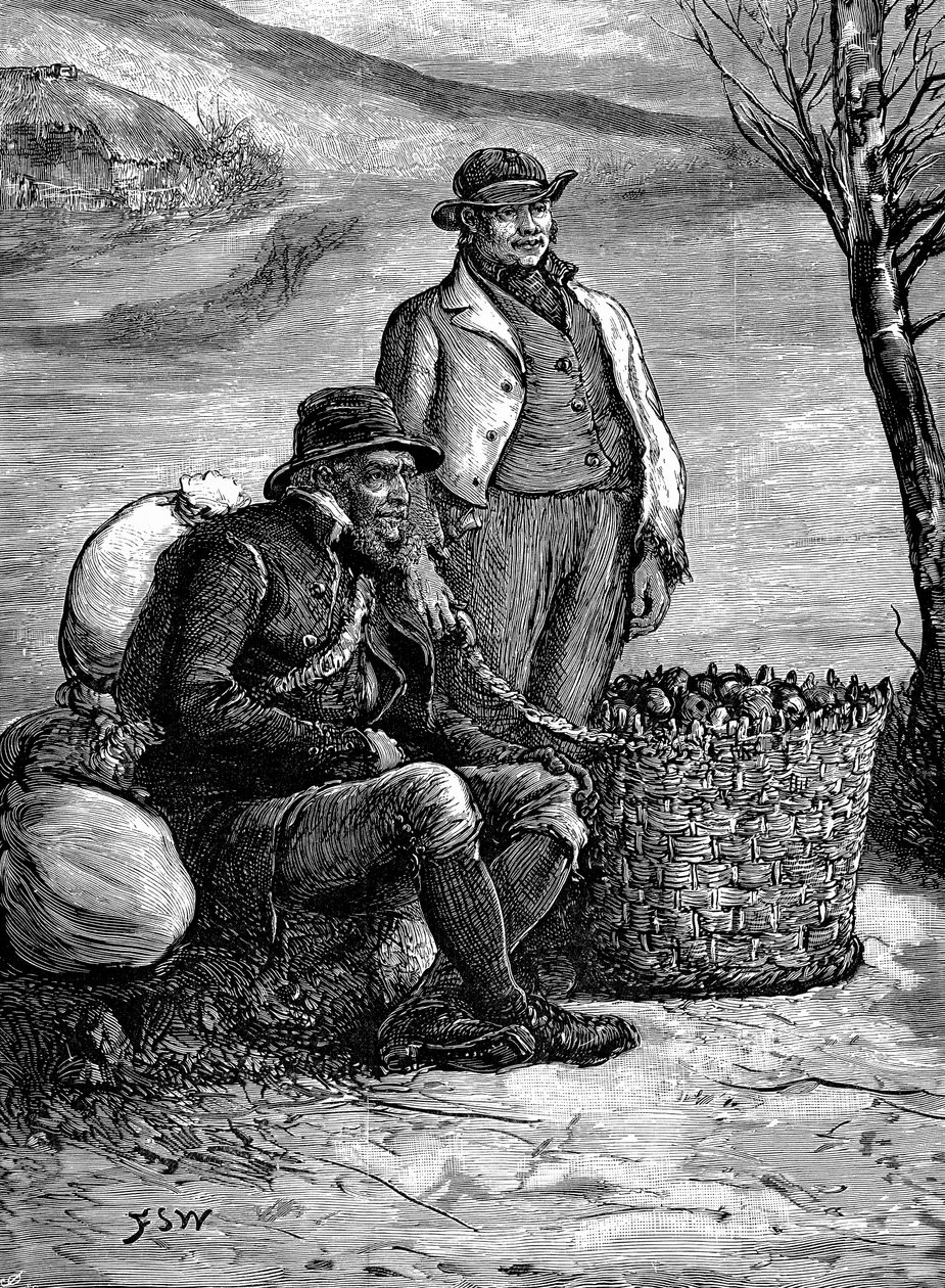 1888年，爱尔兰农民将种薯带回家 作者 不明