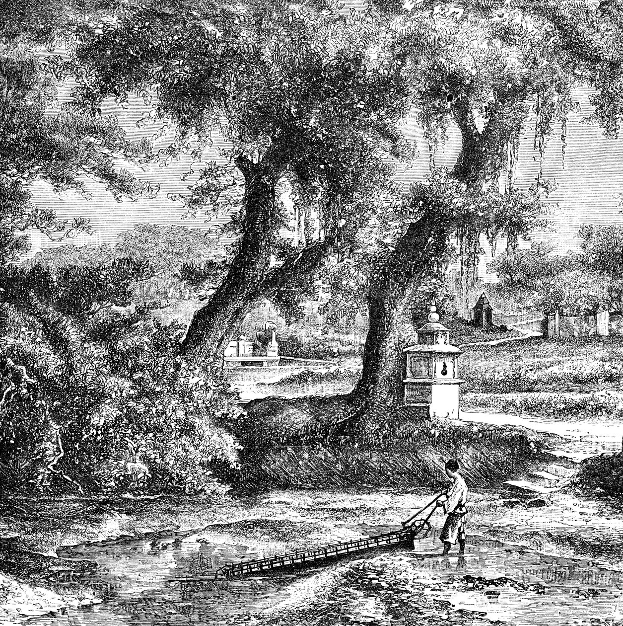华南灌溉泵，c1890 作者 不明