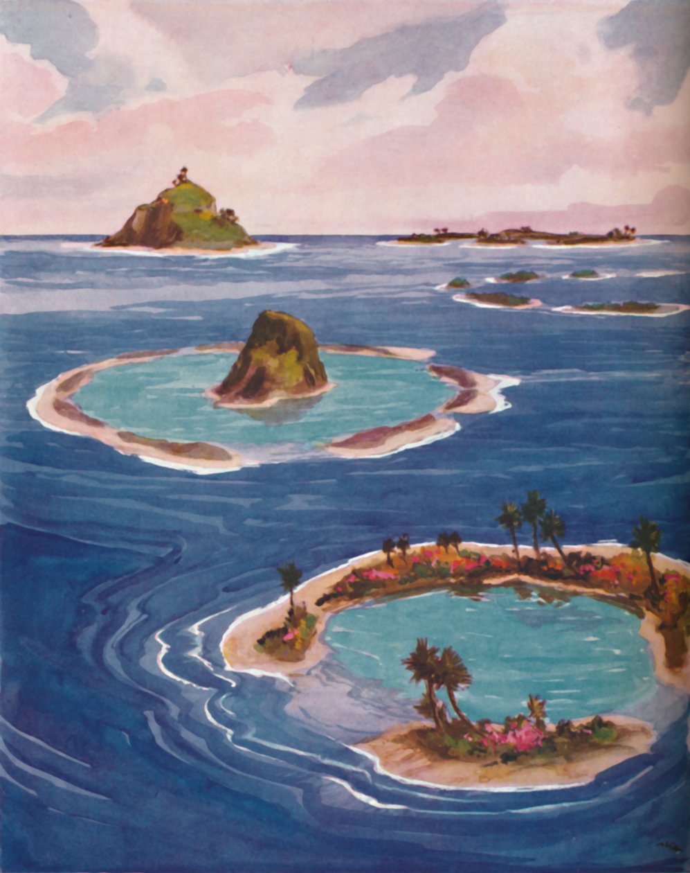 微小海洋生物组成的群岛，1935年 作者 不明