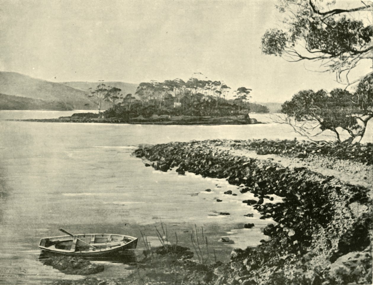 死岛，亚瑟港，1901年。 作者 不明