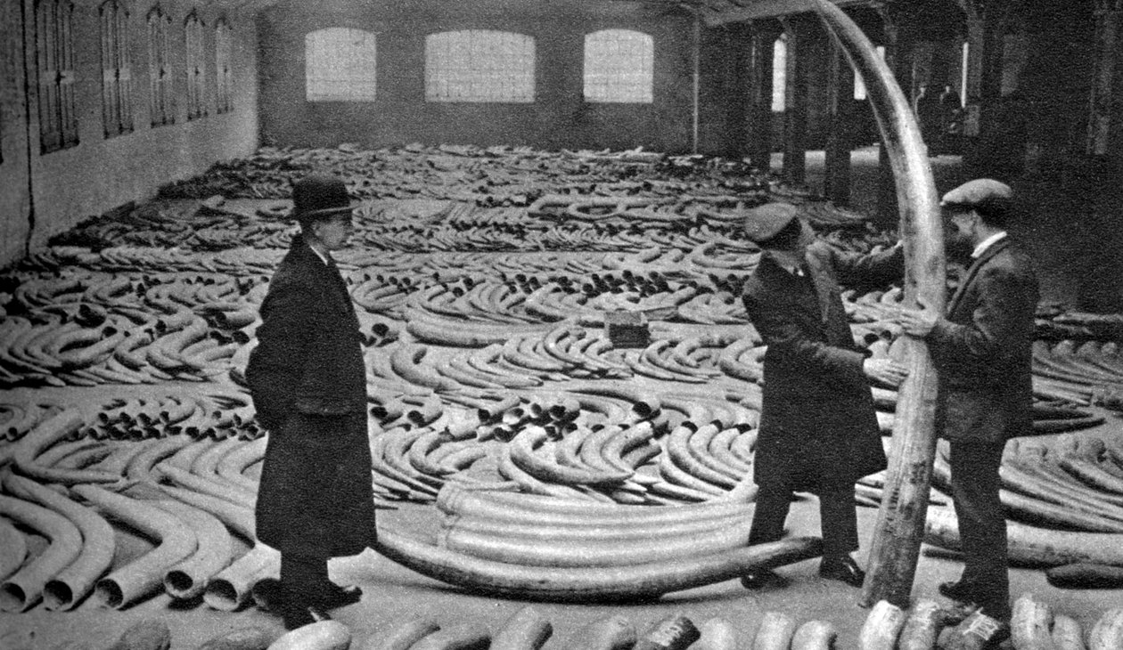 象牙快船，伦敦皇家阿尔伯特码头，1926-1927年 作者 不明