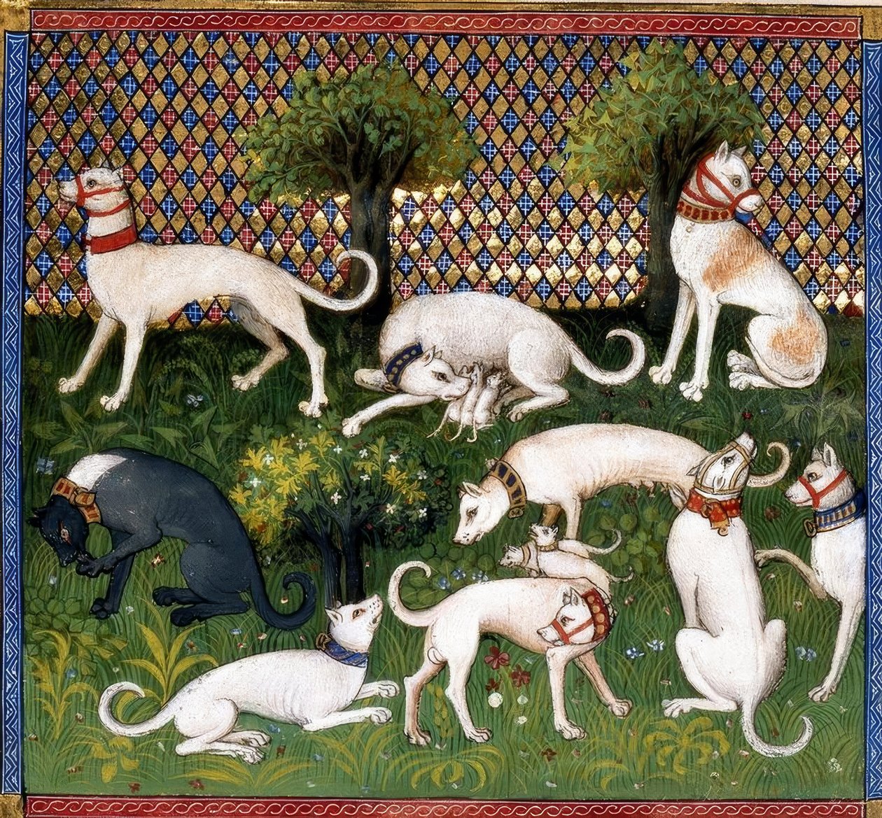 Jagdhunde（艾伦）-狩猎书 作者 不明