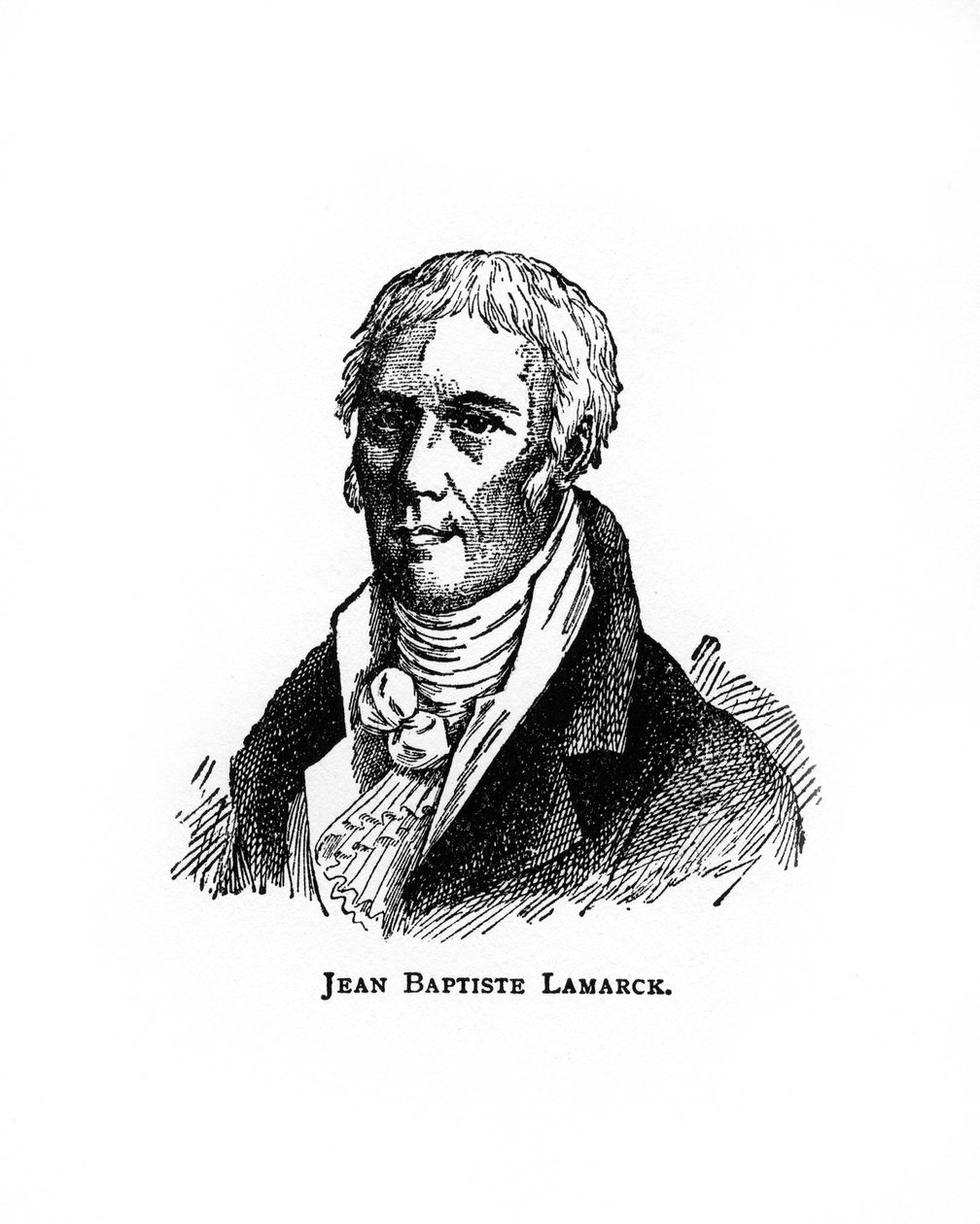让·巴蒂斯特·拉马克（Jean-Baptiste Lamarck），法国自然主义者，二十世纪 作者 不明