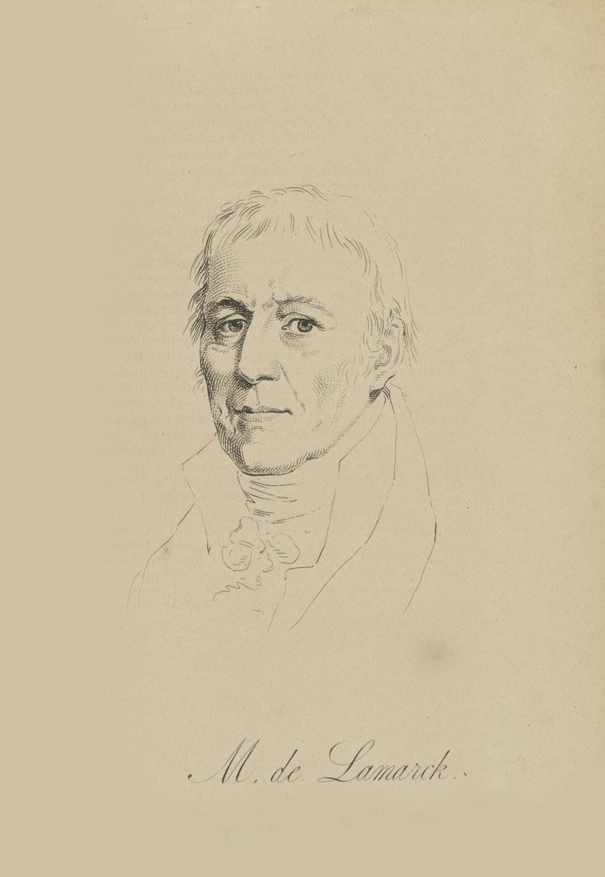 让·巴蒂斯特（Jean-Baptiste）皮埃尔·安托万·德·莫奈，拉马克骑士（1744-1829），c。 1810。 作者 不明