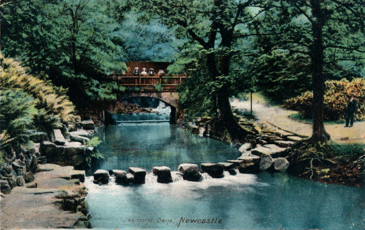 Jesmond Dene，纽卡斯尔，c1905 作者 不明