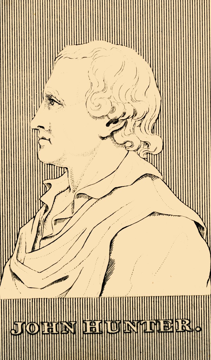 约翰·亨特（John Hunter），1728-1793年，1830年。 作者 不明