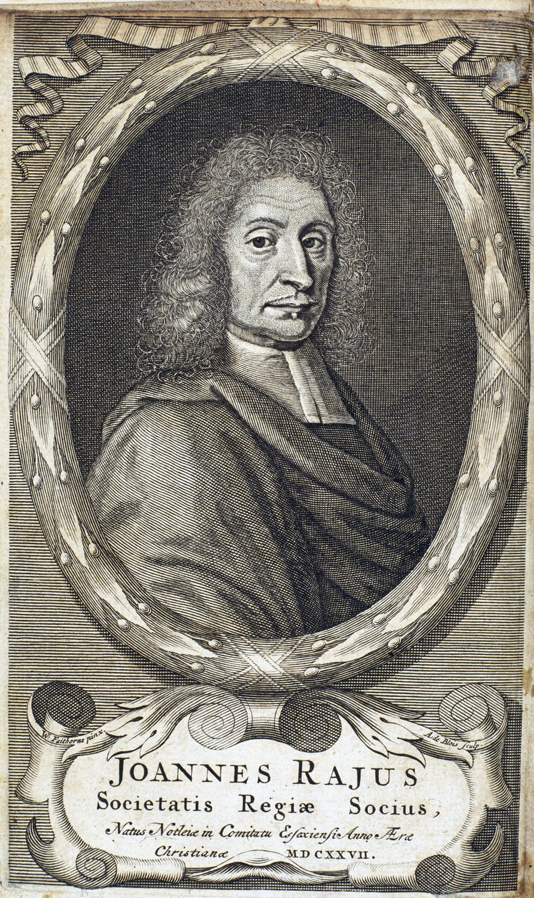 约翰·雷 (Wray)，英国博物学家，c 1700 作者 不明
