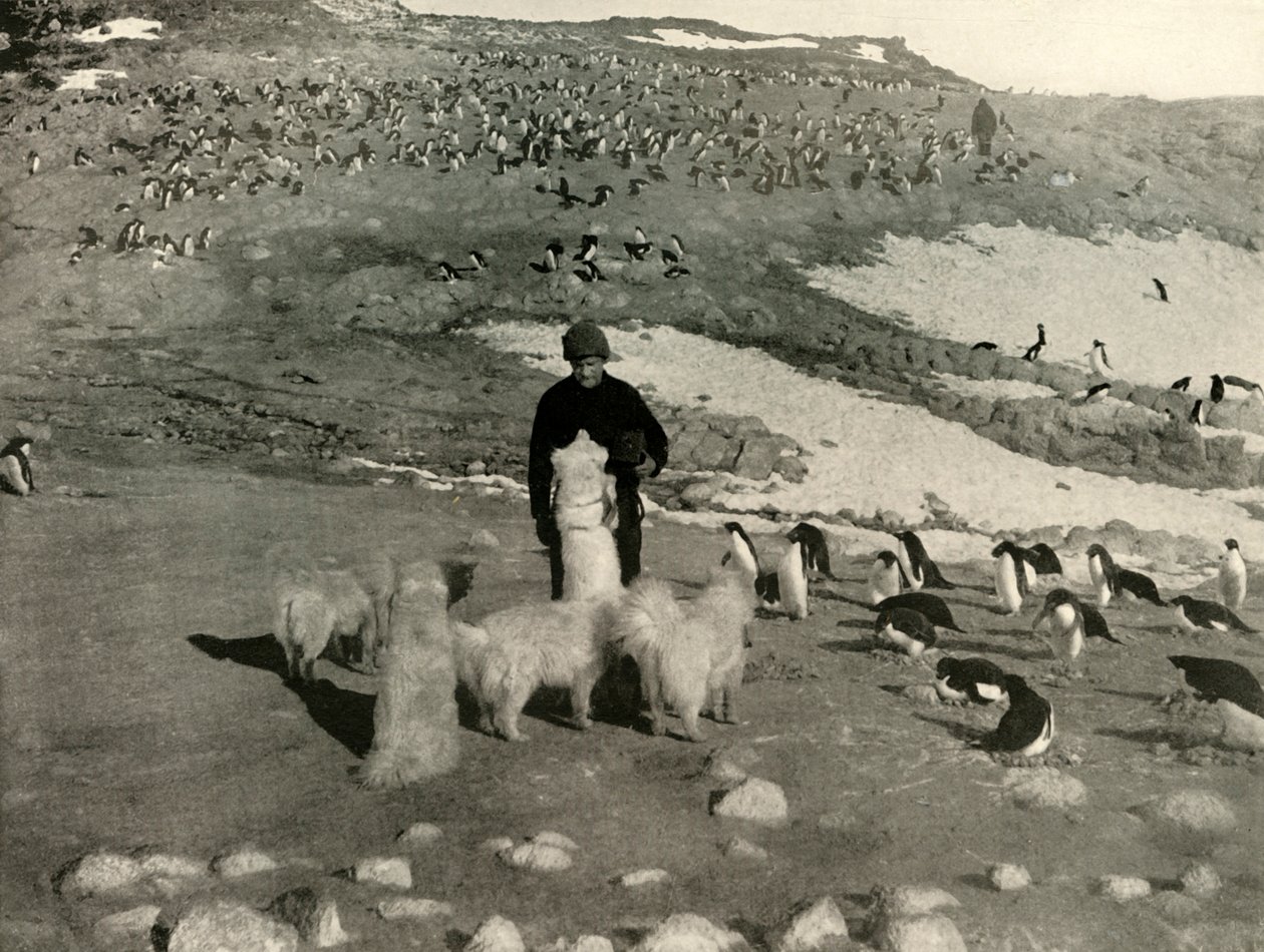 乔伊斯与企鹅群中的狗，摄于1909年，约1909年。 作者 不明