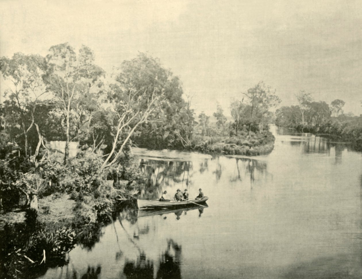 维多利亚州Glengarry和Thompson河的交汇处，1901年。 作者 不明