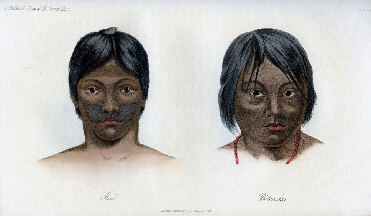 布拉西里奥-瓜拉尼民族的尤里和博托库多斯，1848年 作者 不明