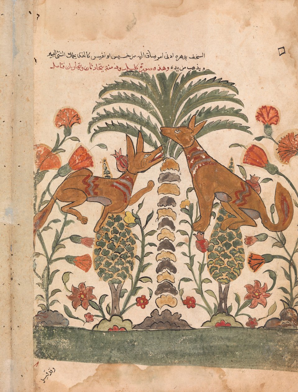 Kalila Upbraiding Dimna, Folio from a Kalila wa Dimna, 18世纪。 作者 不明