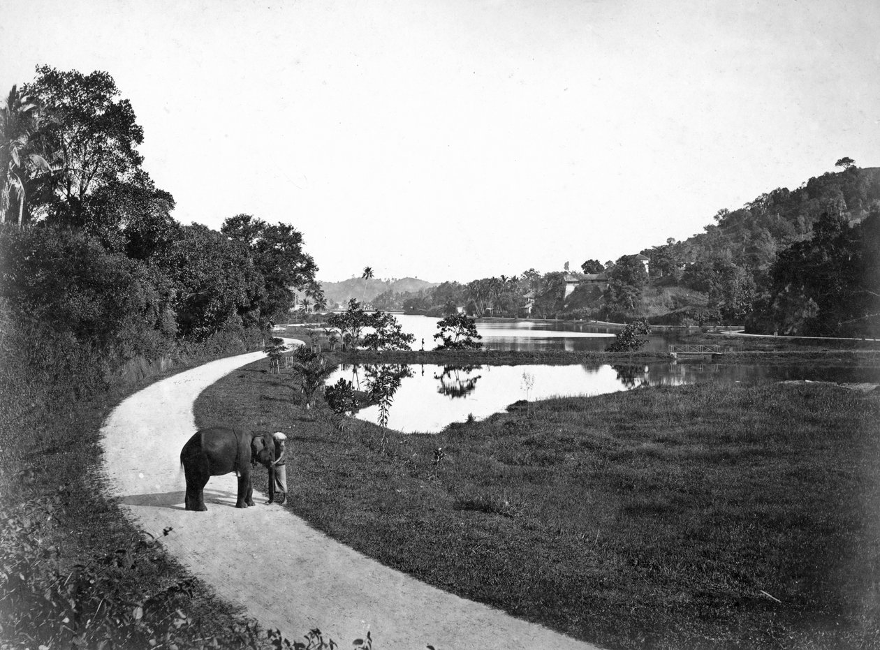 康提湖，康提，斯里兰卡，c1910s 作者 不明