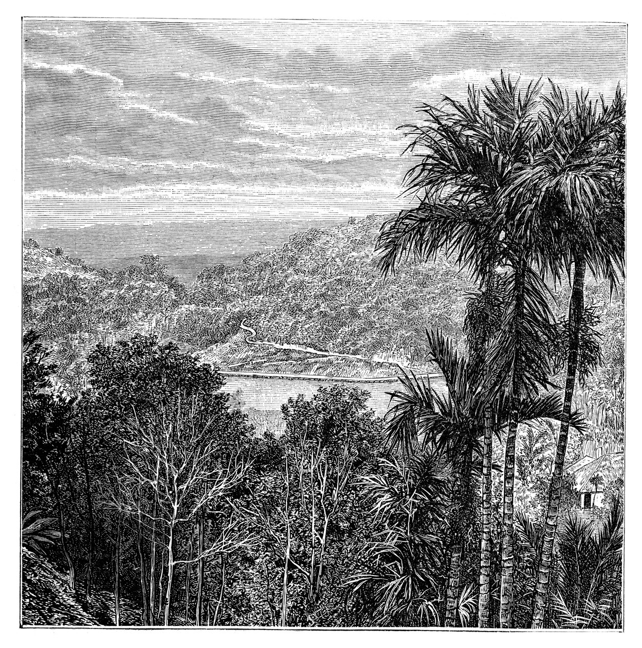 斯里兰卡康提·玛哈·努瓦拉（Kandy Maha Nuvara），1895年 作者 不明