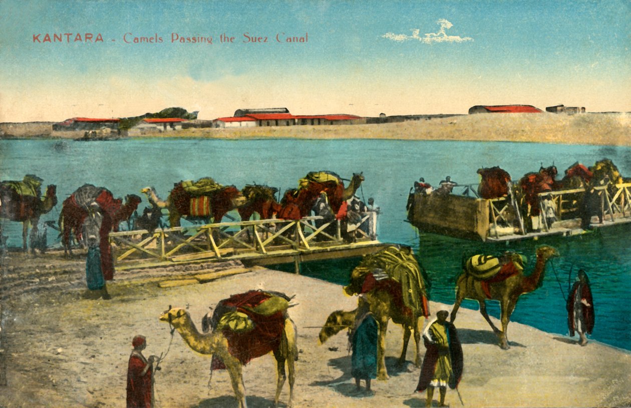 坎塔拉-骆驼穿越苏伊士运河，c1918-c1939。 作者 不明
