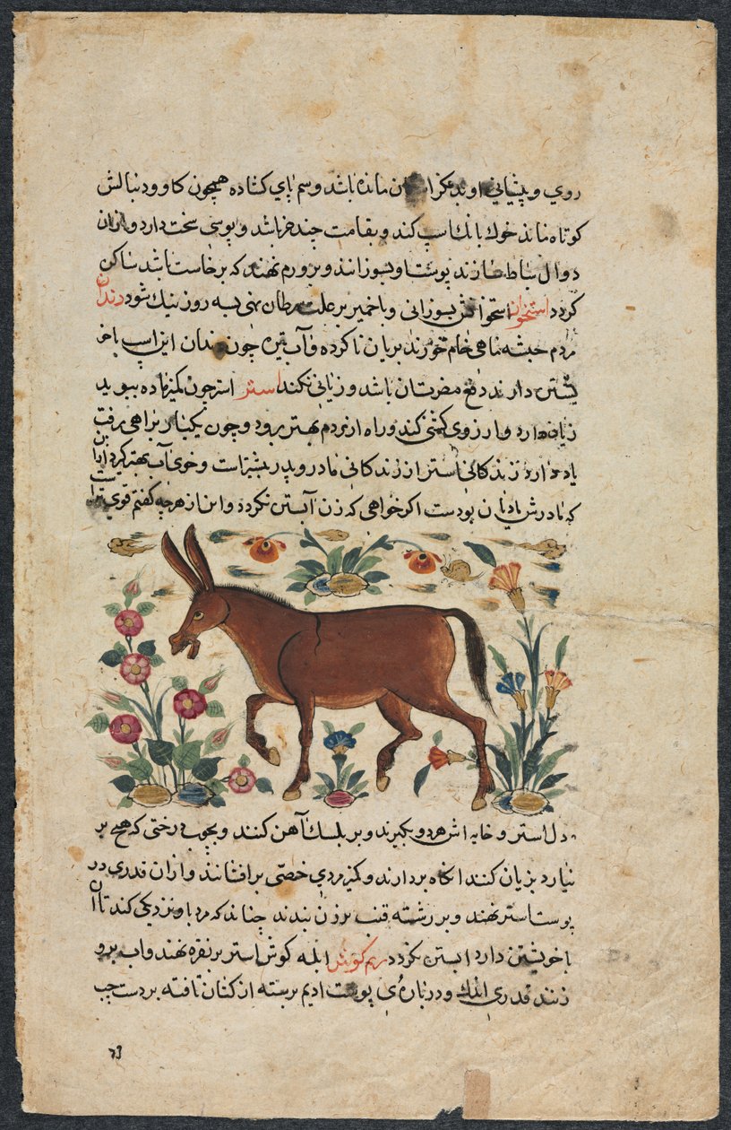 喀尔·阿斯（Khar Ass），来自《努扎特·纳玛·伊·阿莱》杰出律师杂志，1400年代。 作者 不明