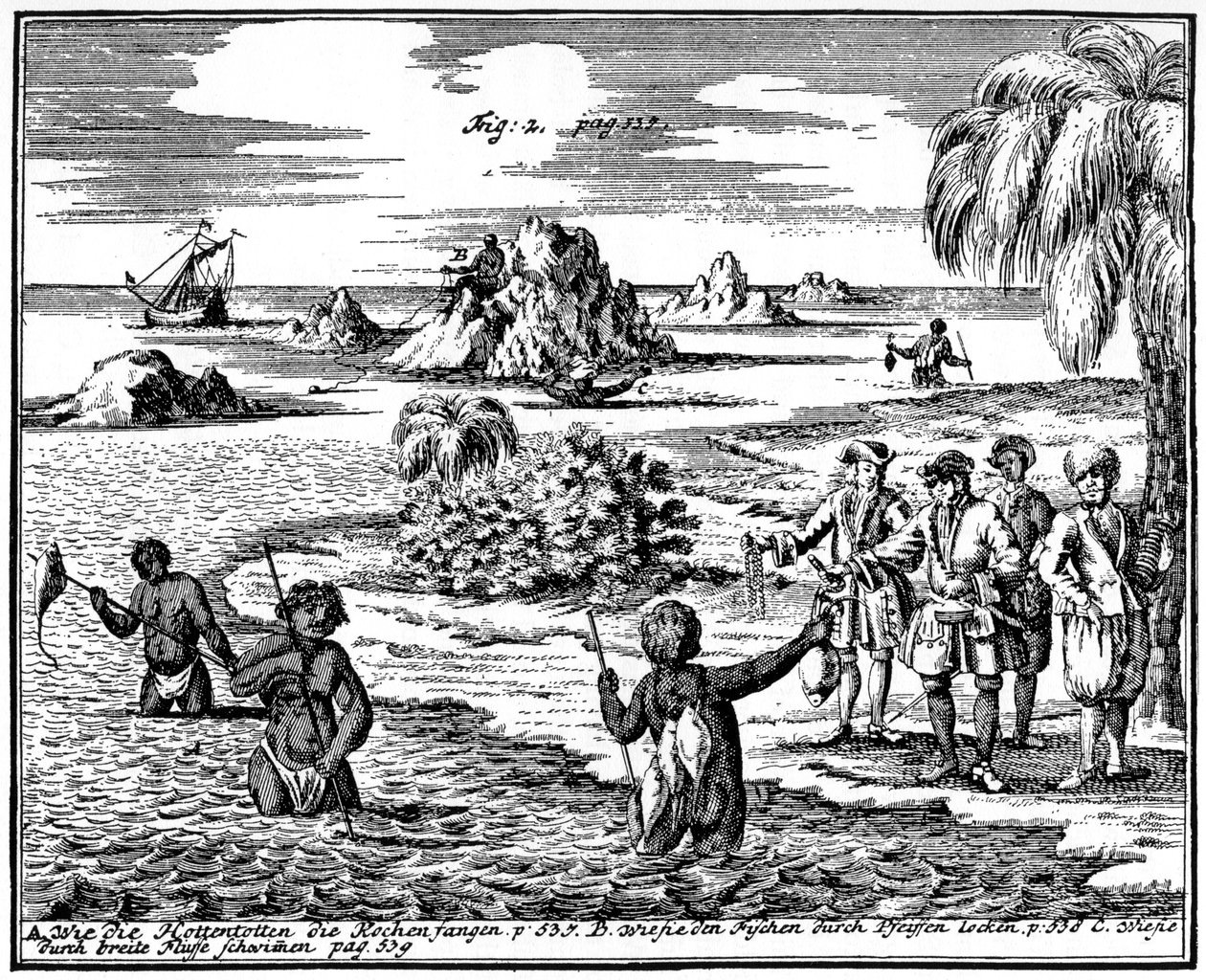 Khoikhois矛鱼，南非，1931年 作者 不明