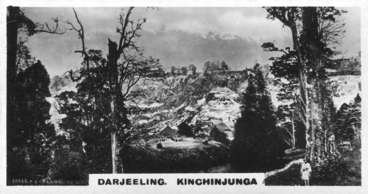 来自印度大吉岭Beechwood的Kinchinjunga，摄于1925年 作者 不明