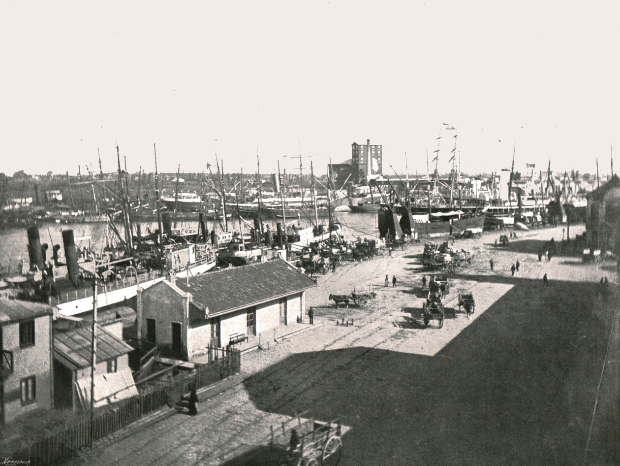 拉博卡（La Boca），阿根廷布宜诺斯艾利斯，1895年。 作者 不明