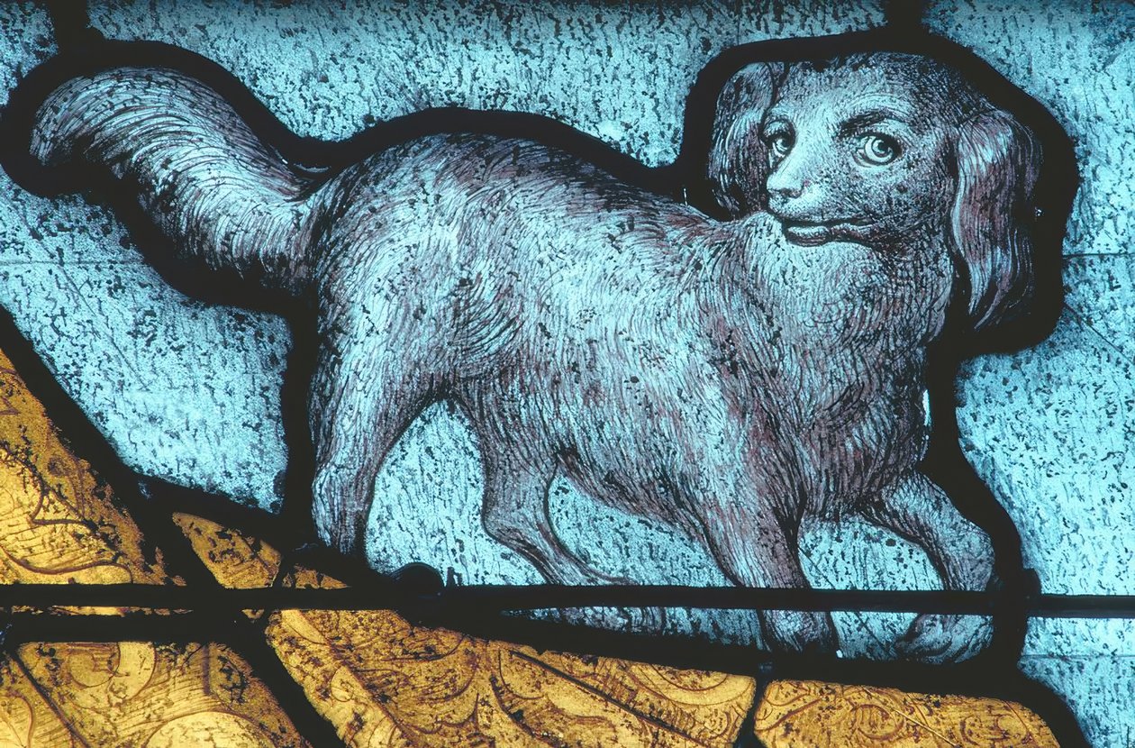 LaFerté-Bernard，狗-彩色玻璃15th c 作者 不明