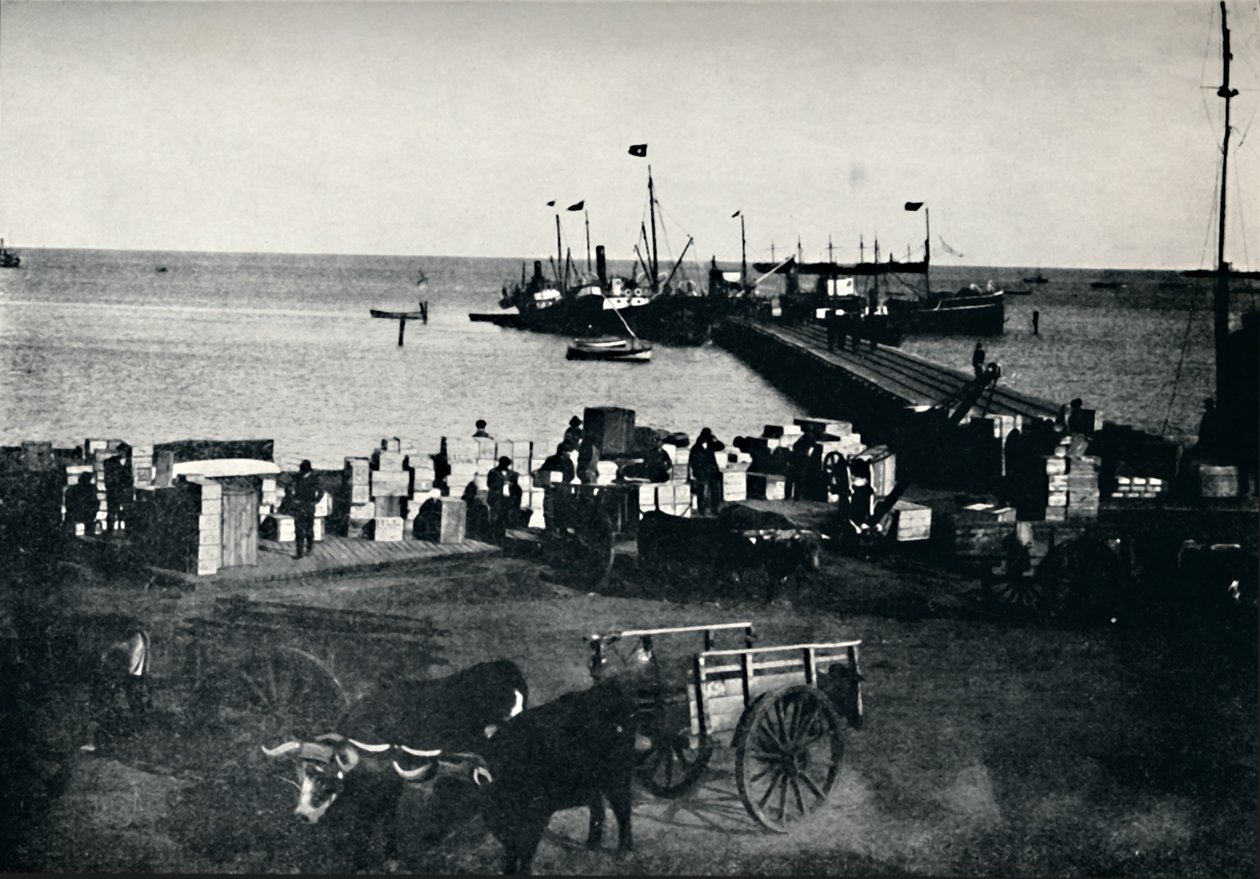 蓬塔阿雷纳斯着陆广场，1911年 作者 不明