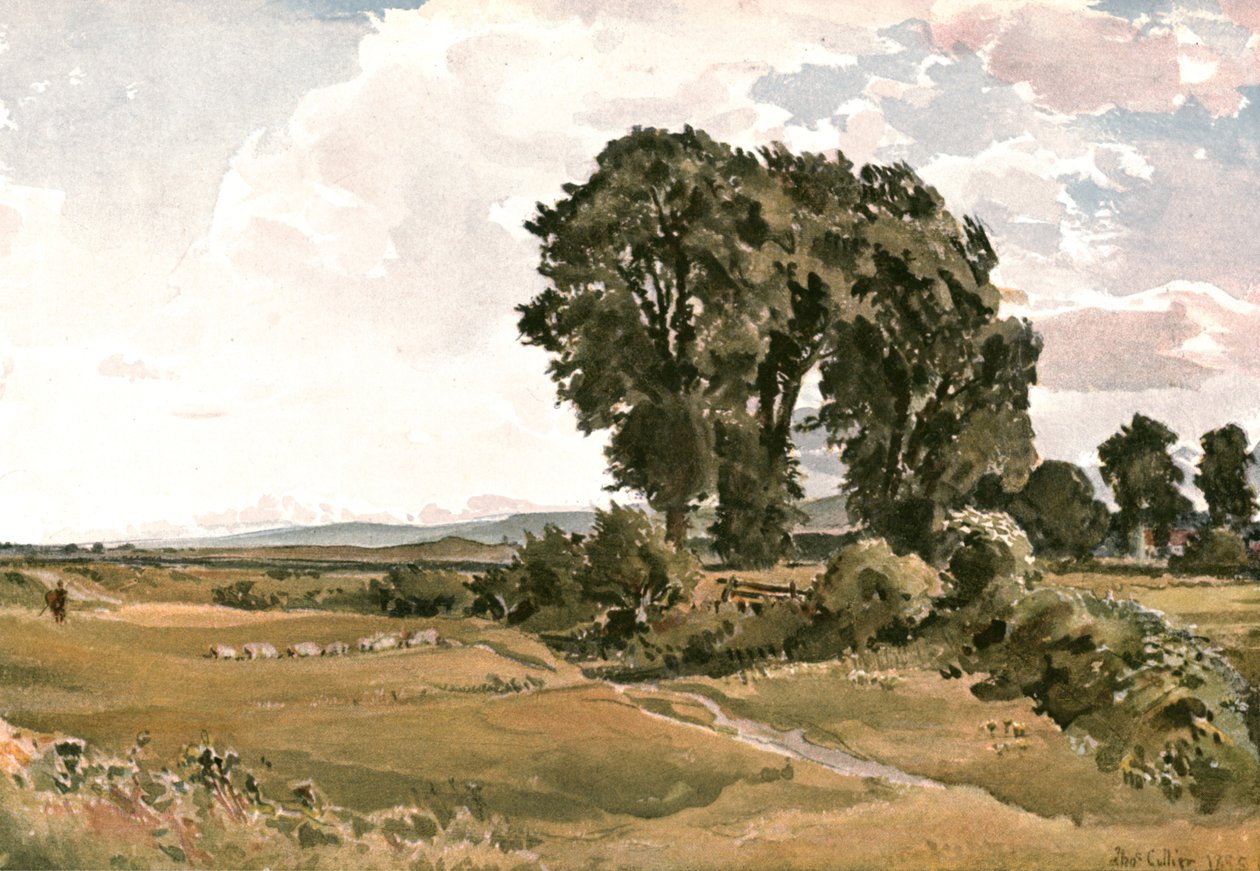 风景，靠近Wareham，多塞特郡-室外素描，c1900。 作者 不明