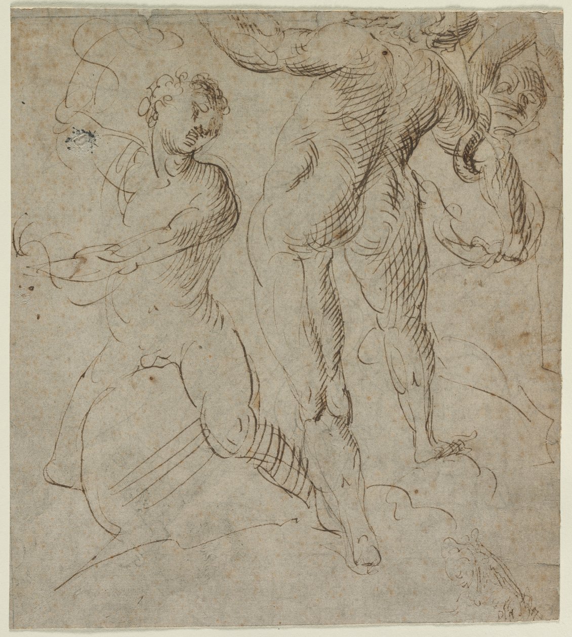 Laocoönrecto，十六世纪下半叶。 作者 不明