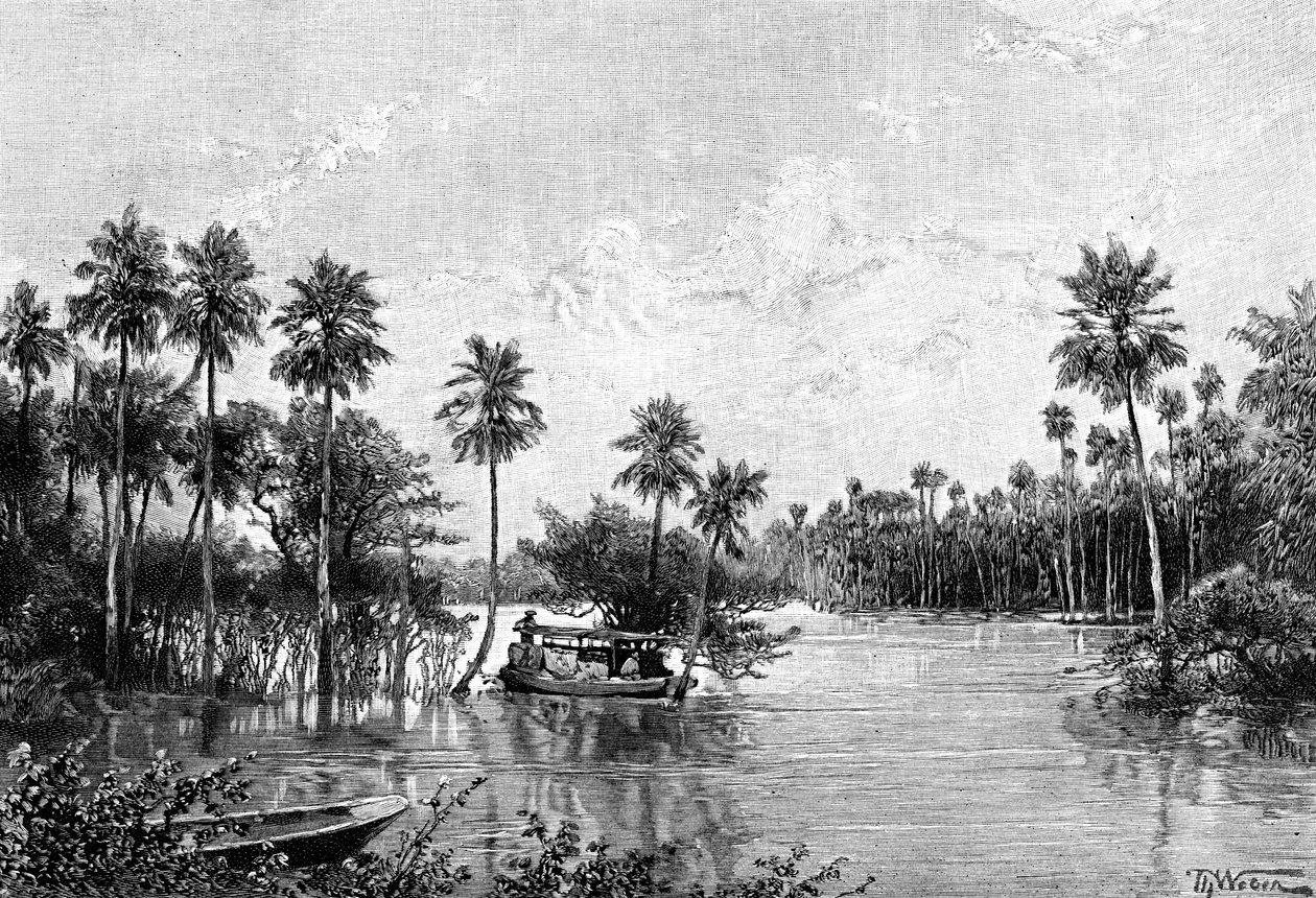 Las Palmes Lagunas，靠近皮尔科马约河口，1895年 作者 不明