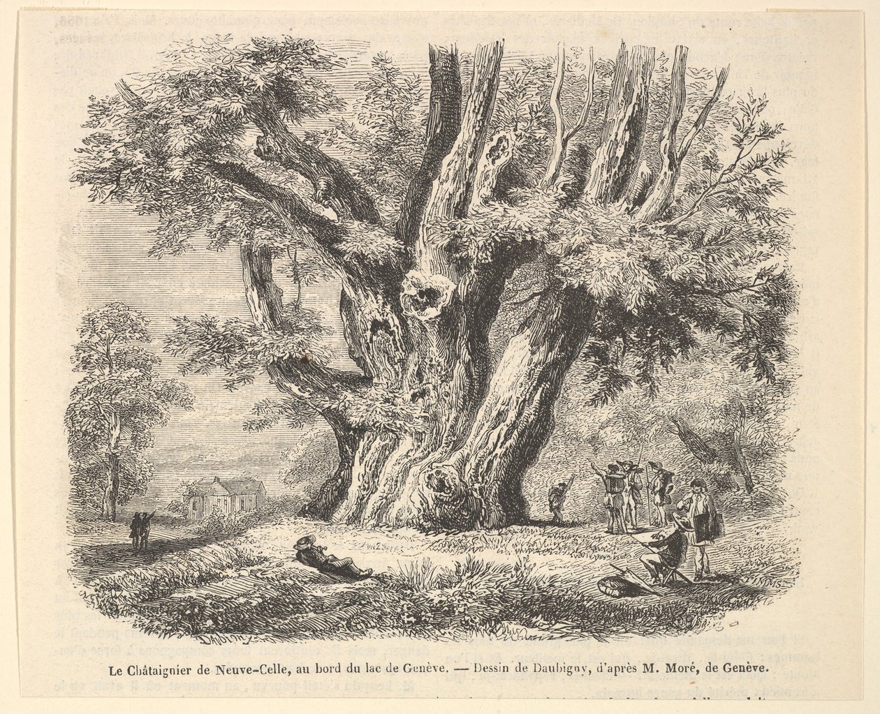 LeChâtaignierde Neuve-Celle，于1835-78年在Daubigny之后在日内瓦湖岸上。 作者 不明