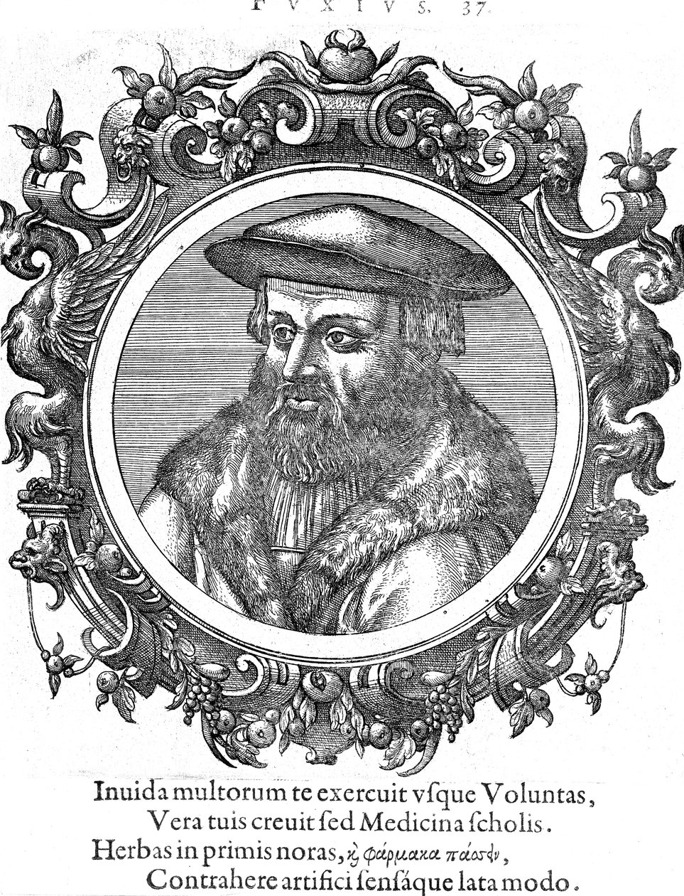 莱昂哈德·福克斯（Leonhard Fuchs），德国植物学家和医师 作者 不明