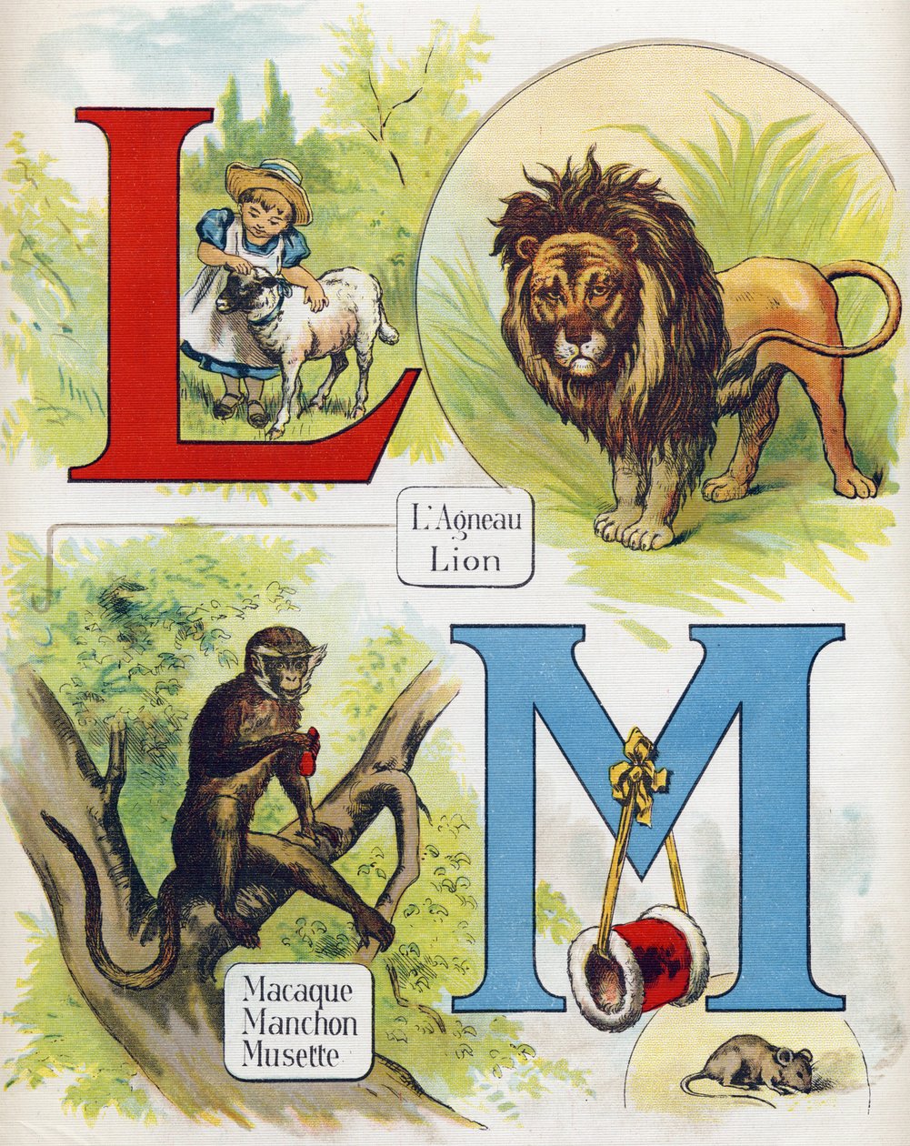 字母 L 和 M：羊羔和狮子、猕猴、袖子和小风笛。 雕刻在“ABC L