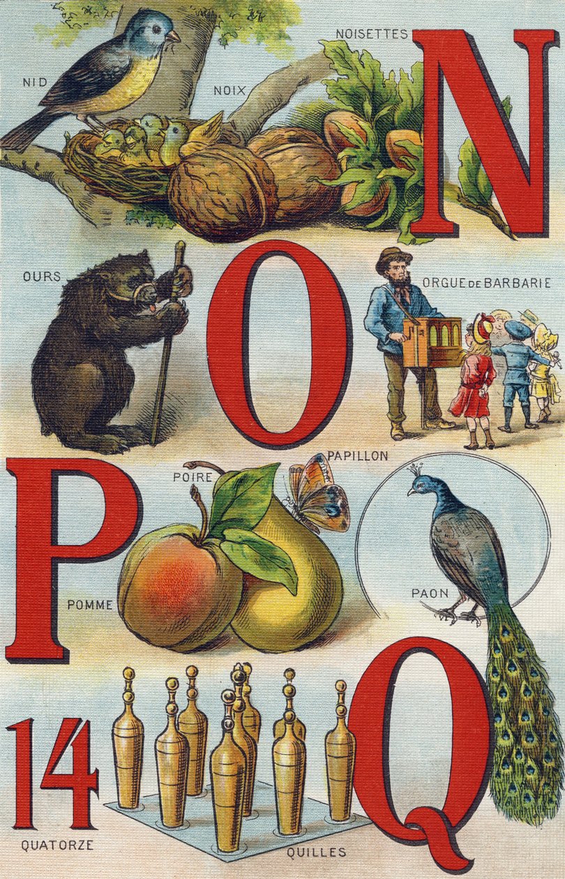 字母 N O P Q； 巢; 榛子; 精选器官； 熊; 孔雀; 蝴蝶苹果梨； 碗。 雕刻“Alphabet de ma petite fille”。 Bernardin-Bechet 和 Fils，书商出版商，巴黎，约 1895 年。坚不可摧的画布专辑。 贝贝图书馆 作者 不明