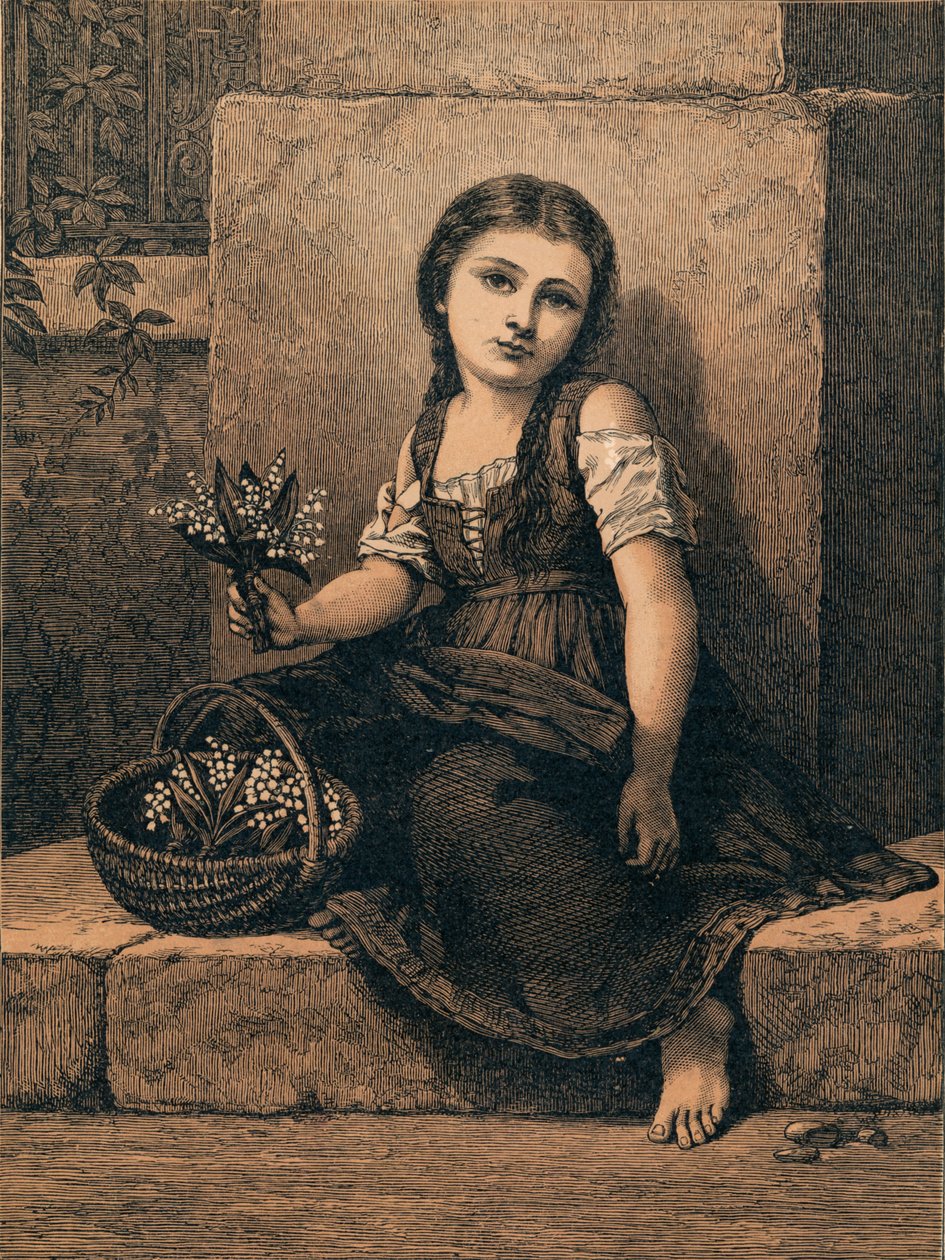 山谷百合，1873年。 作者 不明