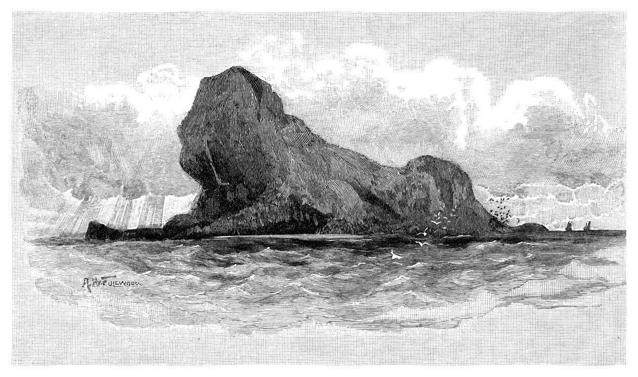 澳大利亚狮子岛，1886年 作者 不明