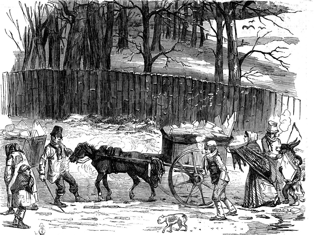 伦敦冰车，1850年 作者 不明