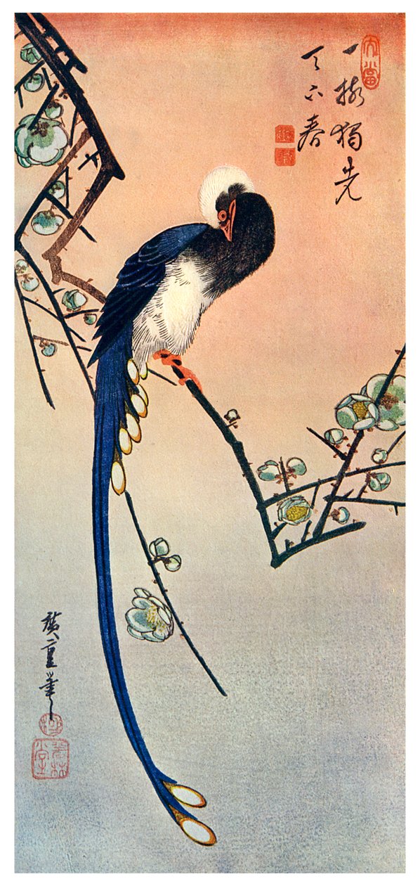 长尾蓝鸟在盛开的梅花树的树枝上，19世纪，1925年 作者 不明