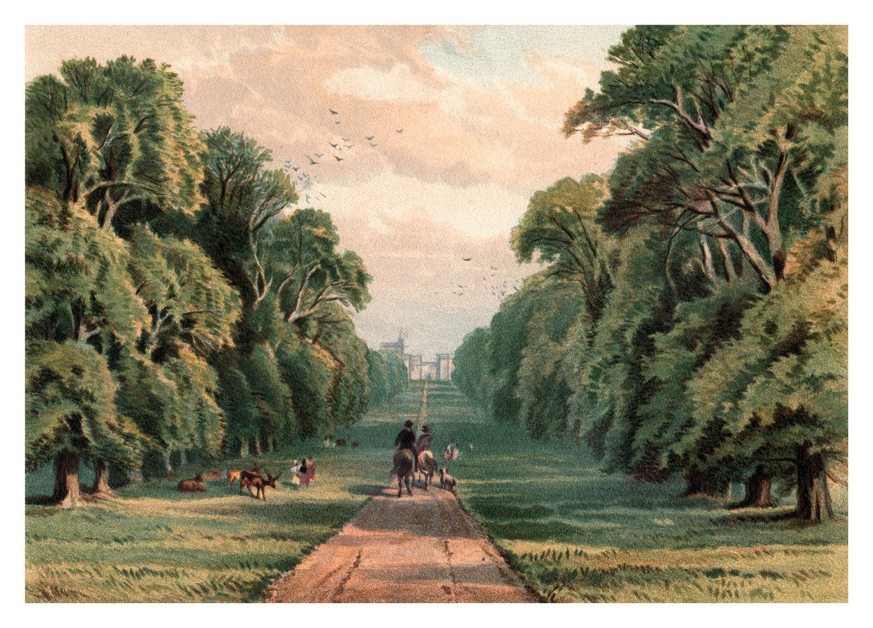 温莎公园，1880年 作者 不明