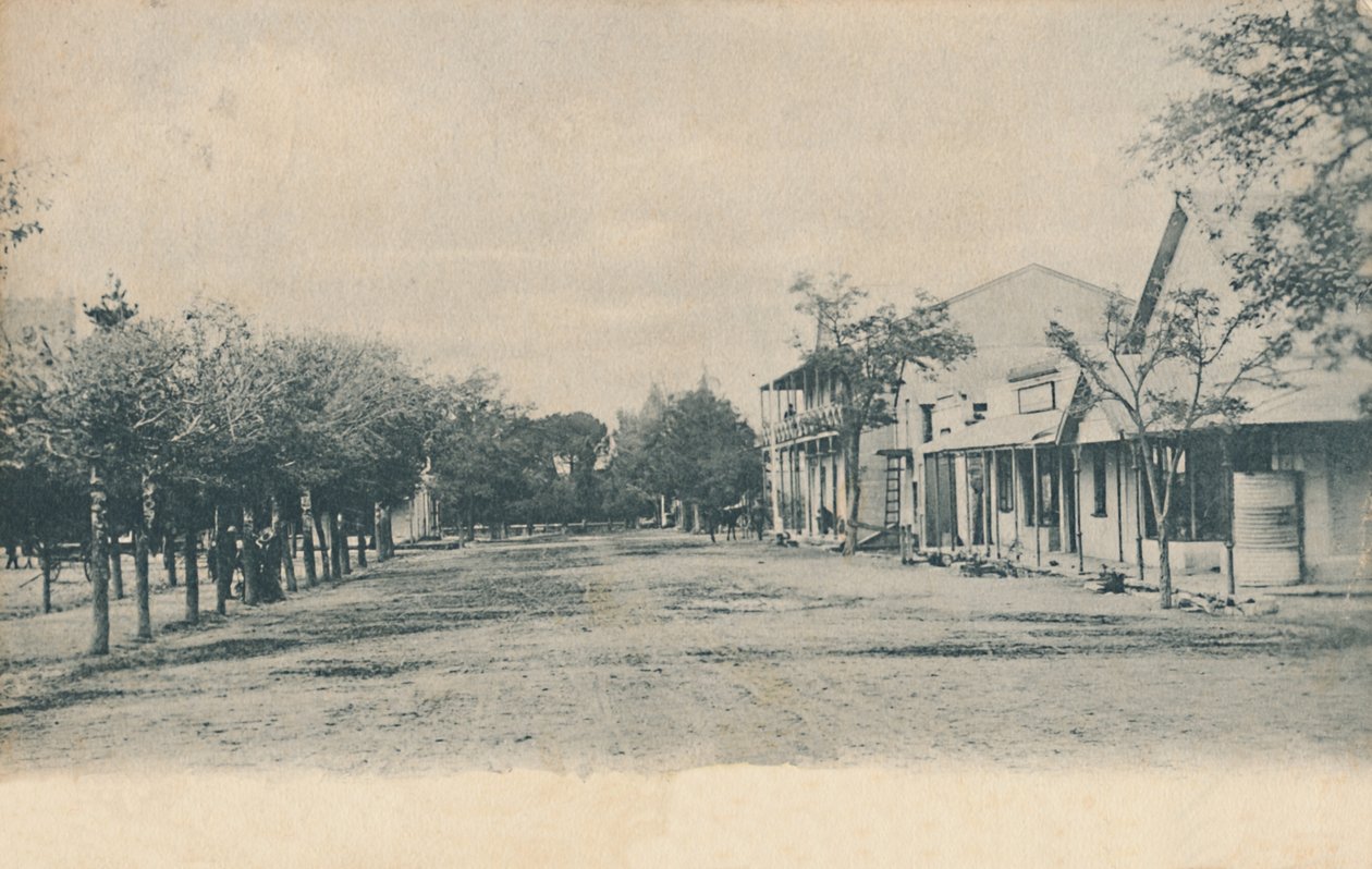 1901-1910年，开普殖民地米德尔堡环街。 作者 不明