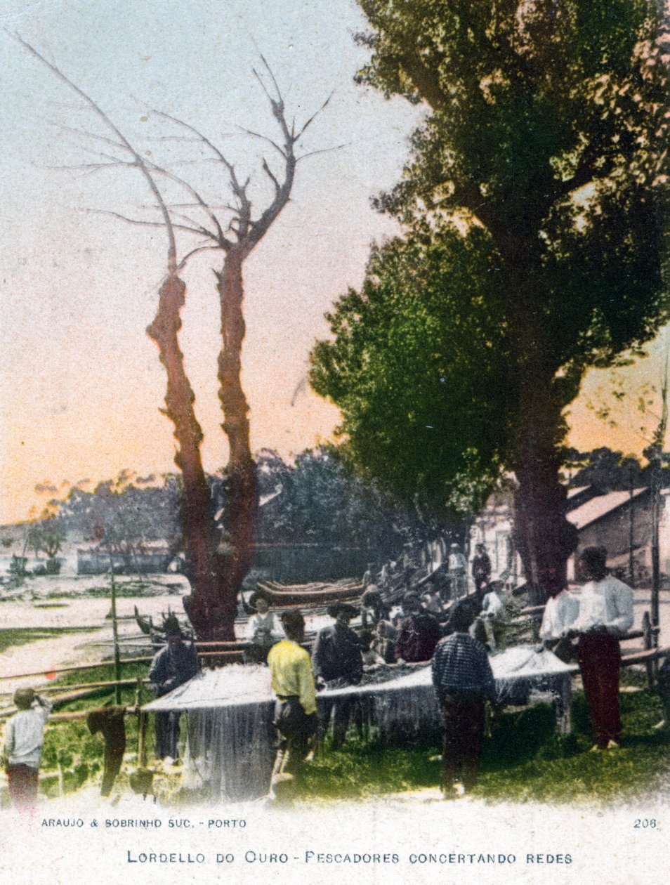 1903年，葡萄牙波尔图附近的洛德罗·杜欧鲁 作者 不明