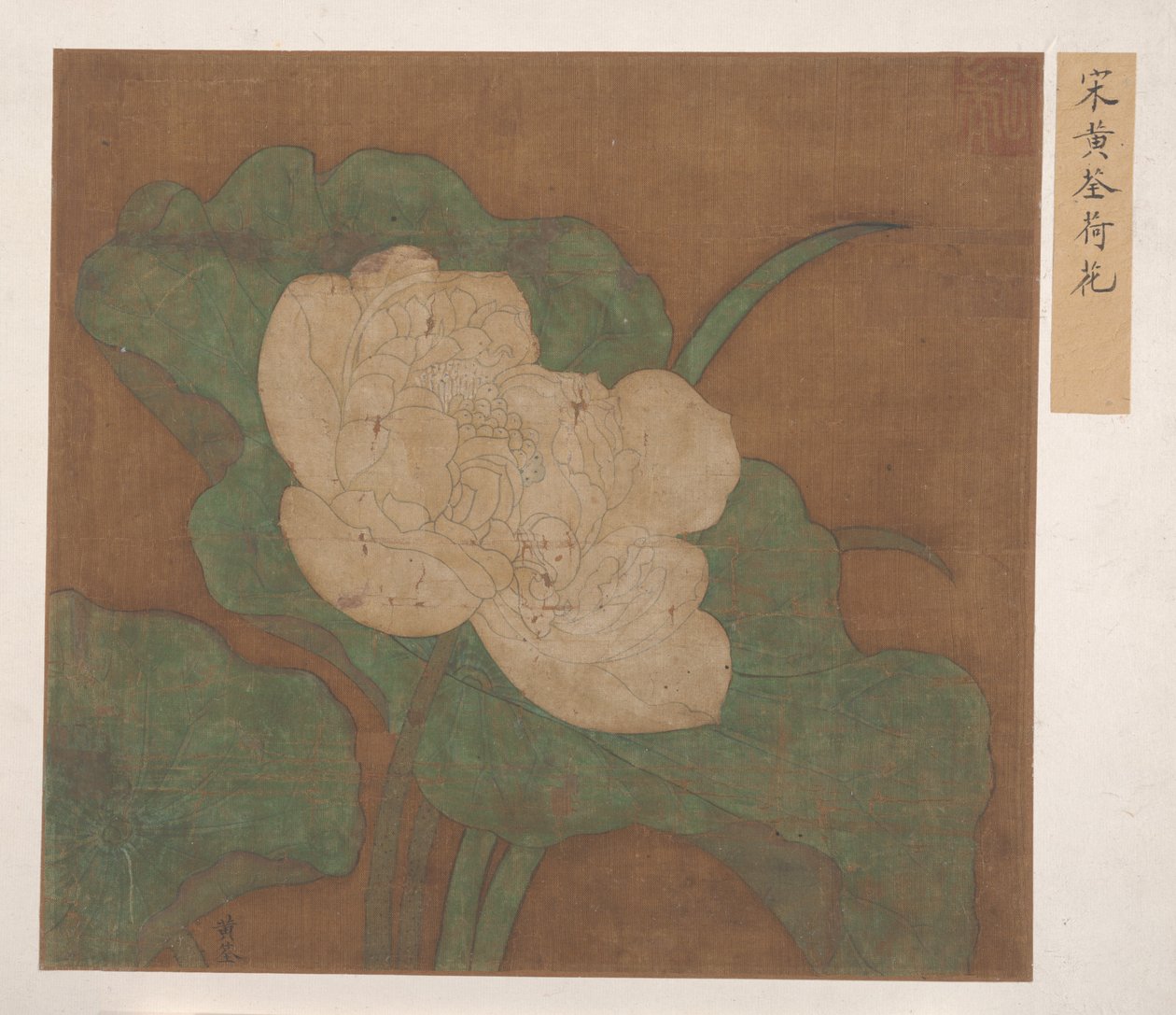 莲花。 作者 不明