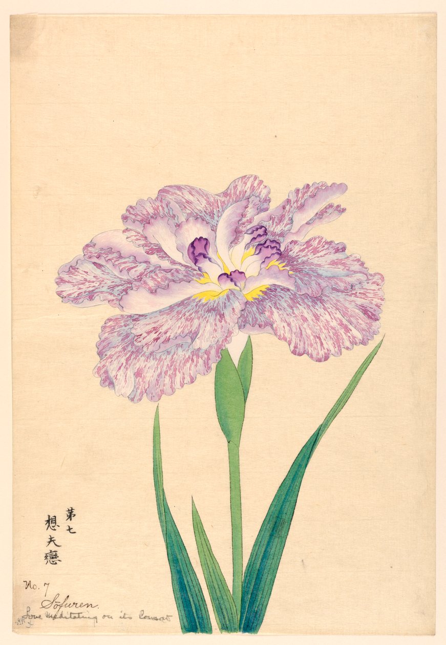 沉思中的爱的伴侣（Sofuren），第7号，约1910年 作者 不明